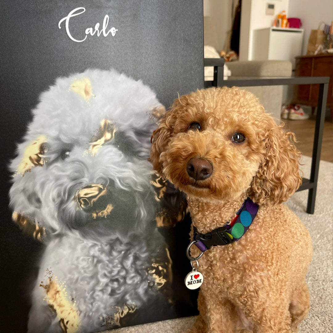 Gold Pawtrait
